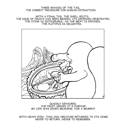 the platypus
