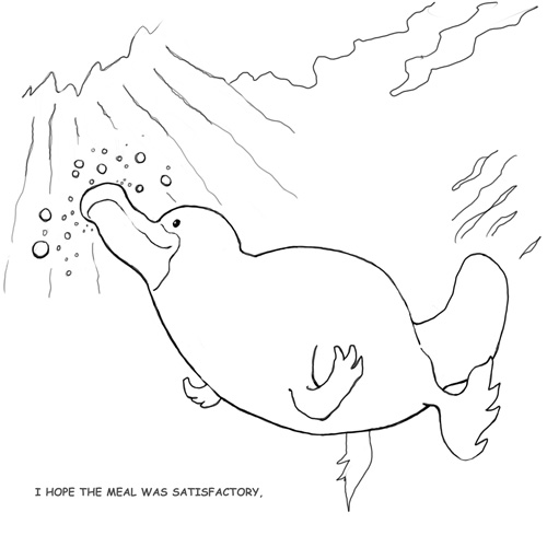 the platypus
